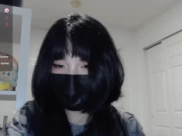 kitty krush